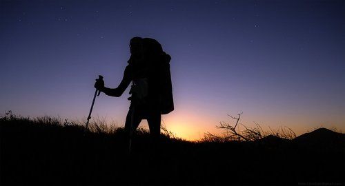 Межзвёздный скиталец