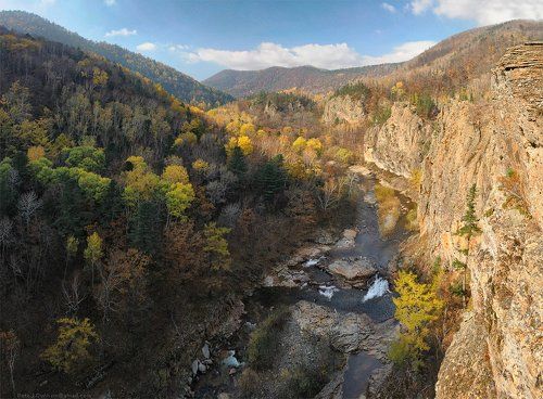 В Уссурийской тайге