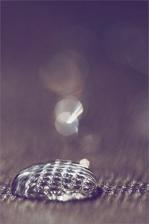 микрокосм, Yakimov V