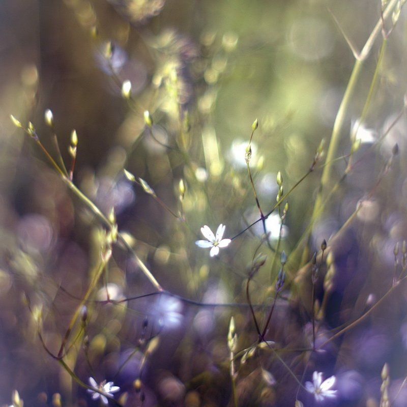 Танец фото превью