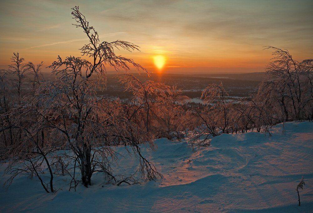 кольский, полуостров, зима, locus