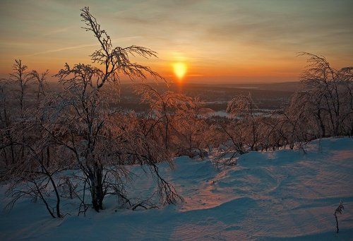 Мороз и солнце...