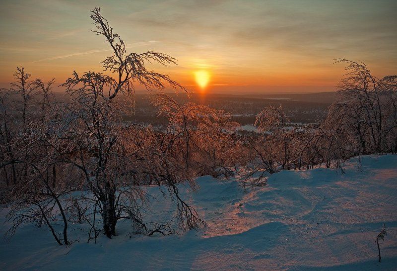 Мороз и солнце...