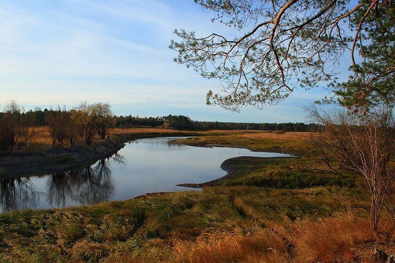 Золотая осень фото превью