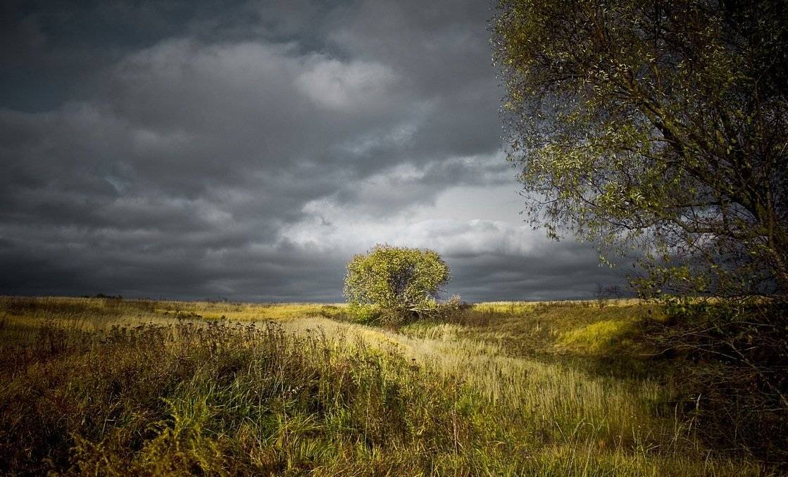 , Сергей Зимин