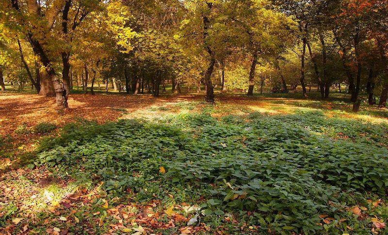 хорошая погода фото превью