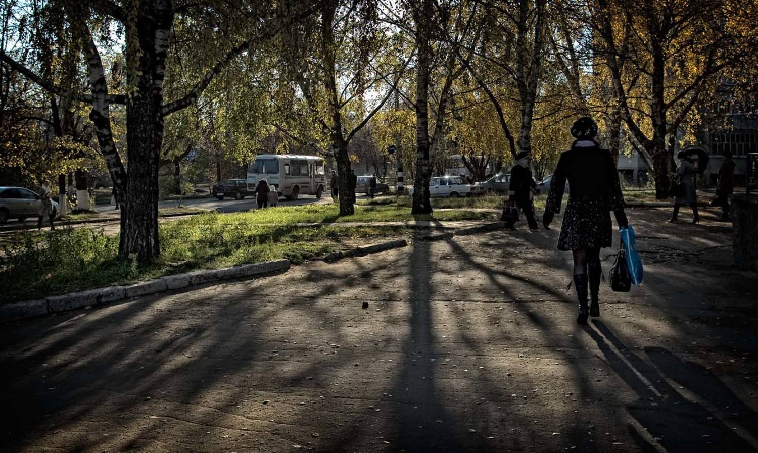 осень, город, листва, жёлтая, прошлое лето