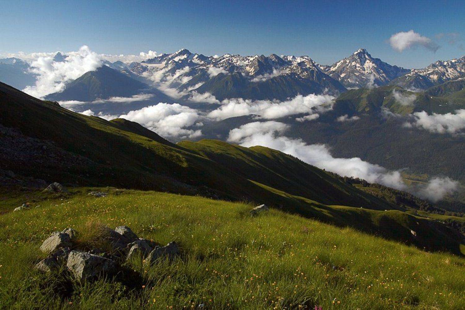 , Синицкий Виталий