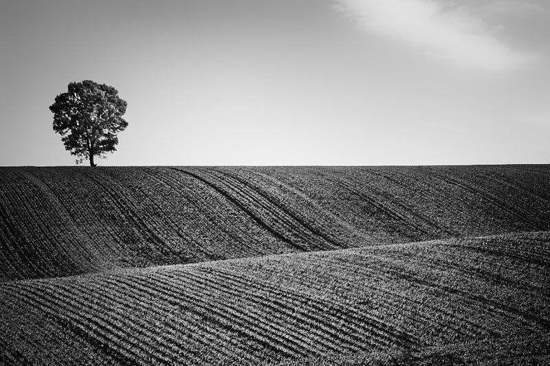 loneliness on the hill фото превью