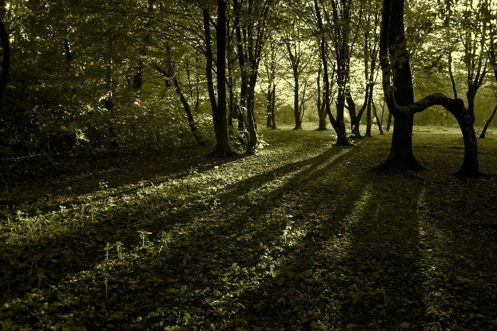 , Рафаэль Александрович Фоменко