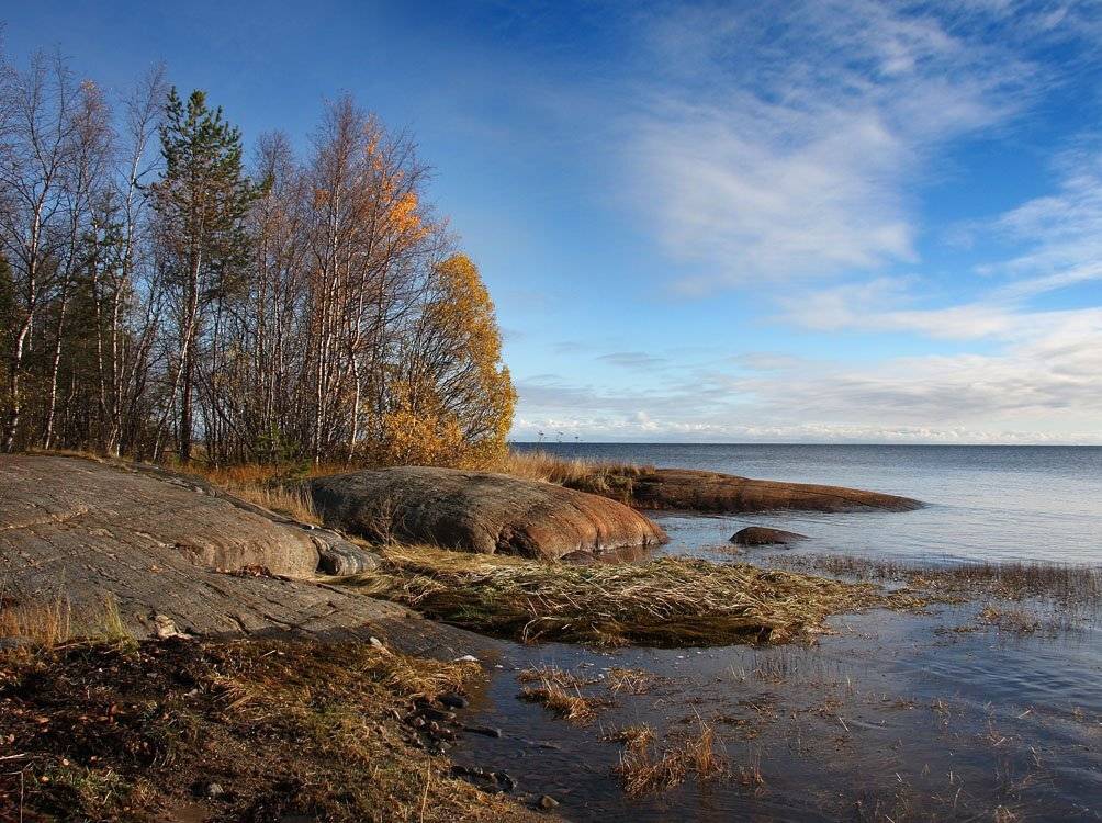 , Александр Коротков