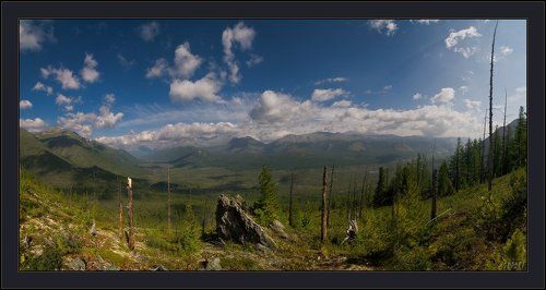 Чёрная птица, куда мне лететь?