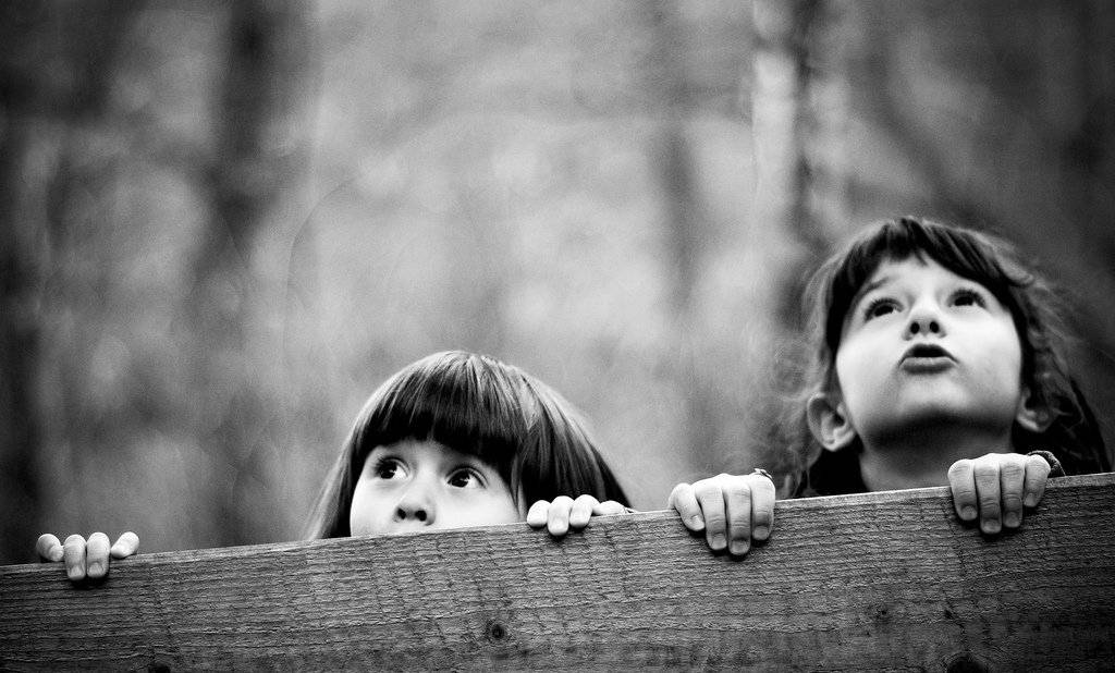 , Svetlana Bekyarova