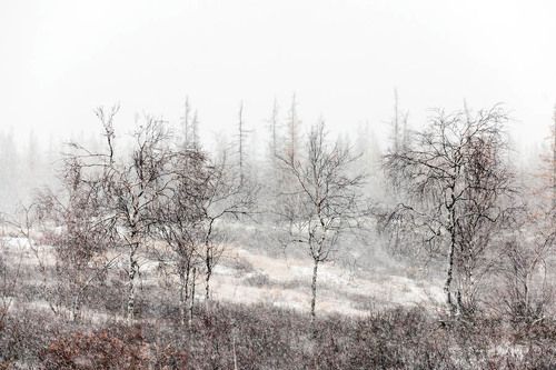 первооктябрьский снег