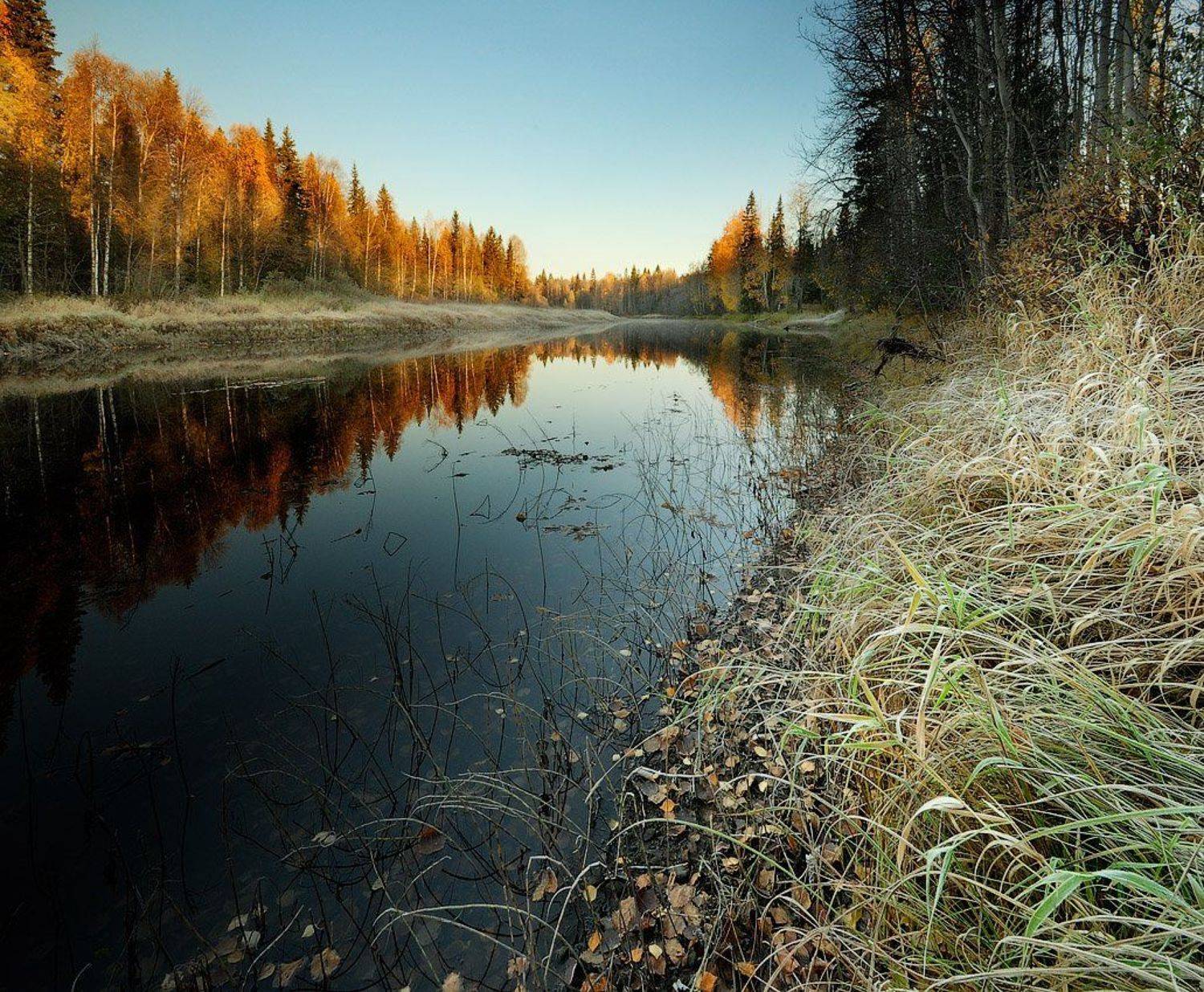 кема,север,осень,сентябрь,заморозки,вологодчина, Roman Goryachiy