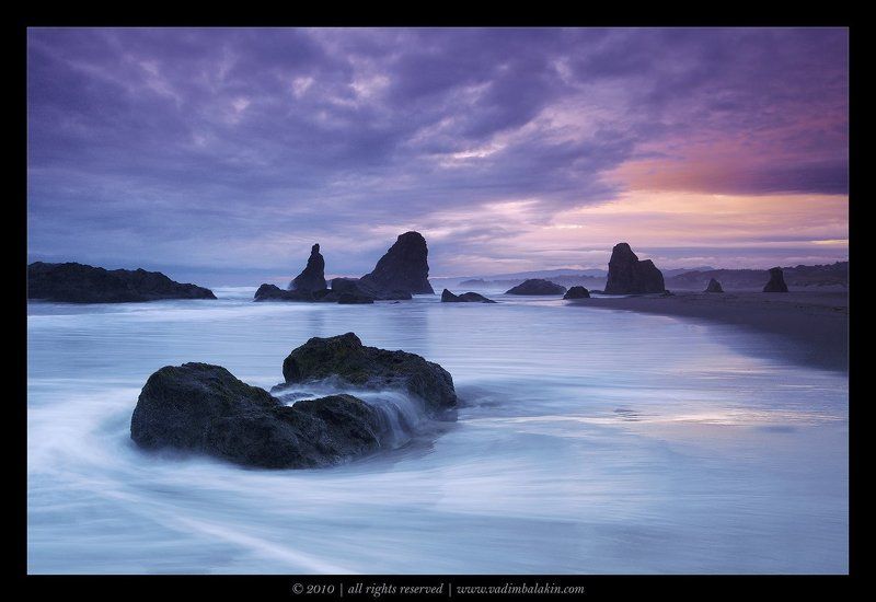 Bandon Rush фото превью