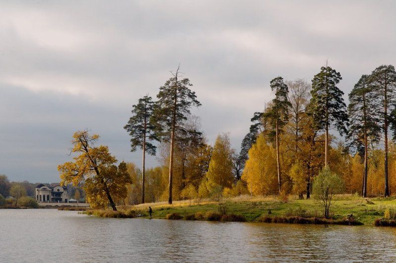 Про скрытного рыбака Максимыча (2010) фото превью