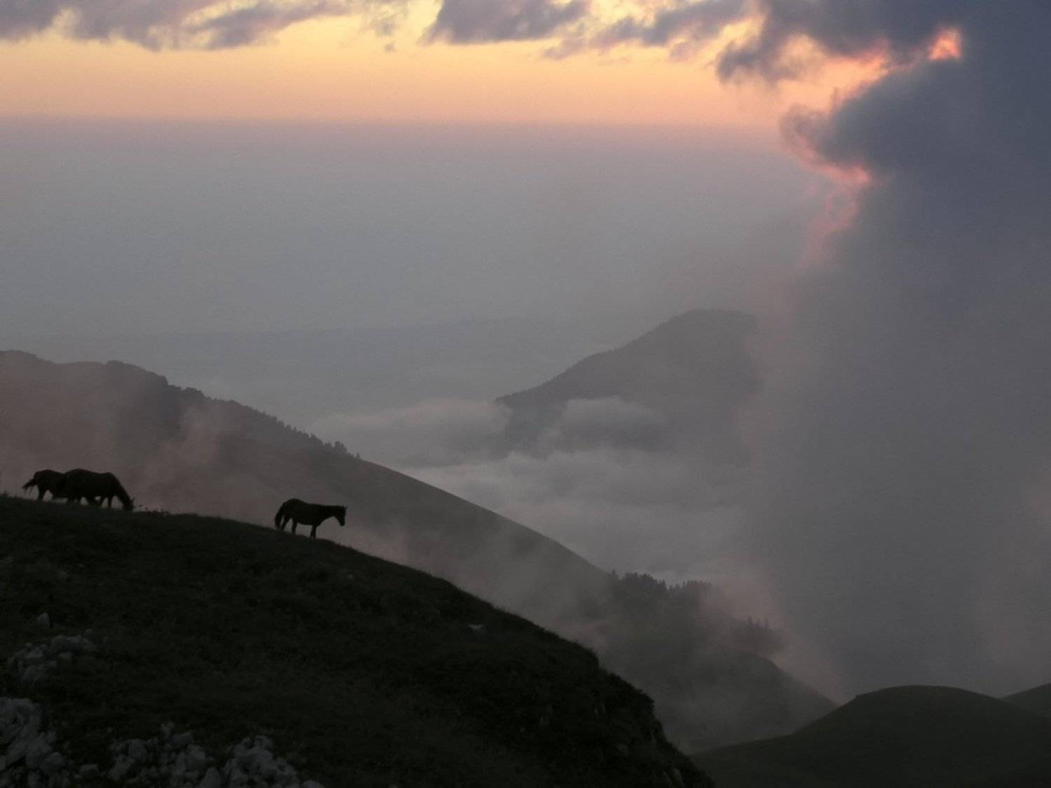 пейзаж, Tina Grach