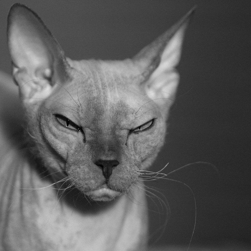 Девушка с претензиями фото превью