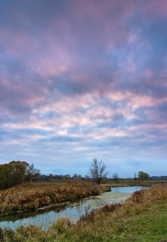 Осенний унылый вечер