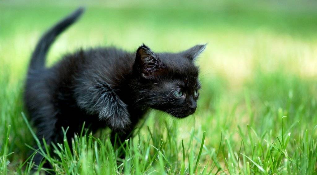 , Вячеслав 19