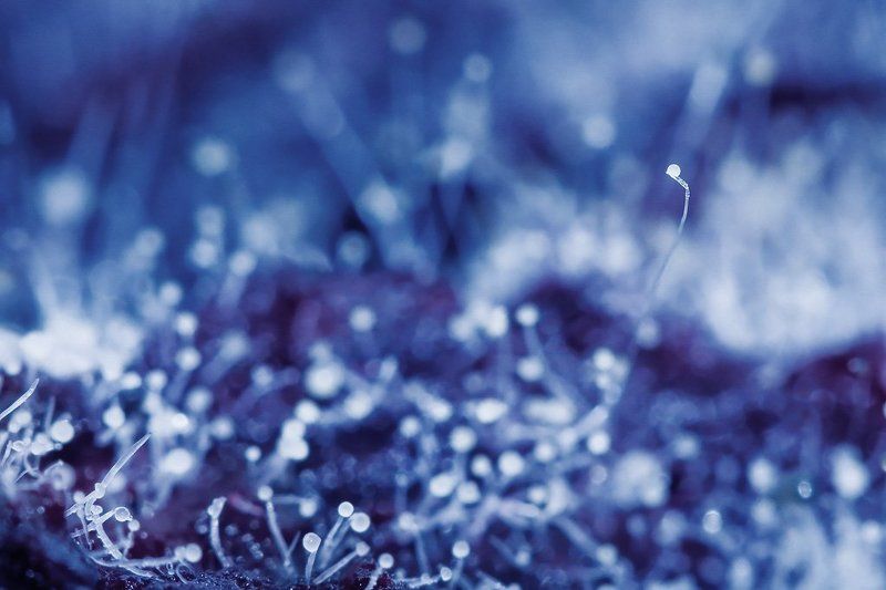 Интересная и загадочная фото превью