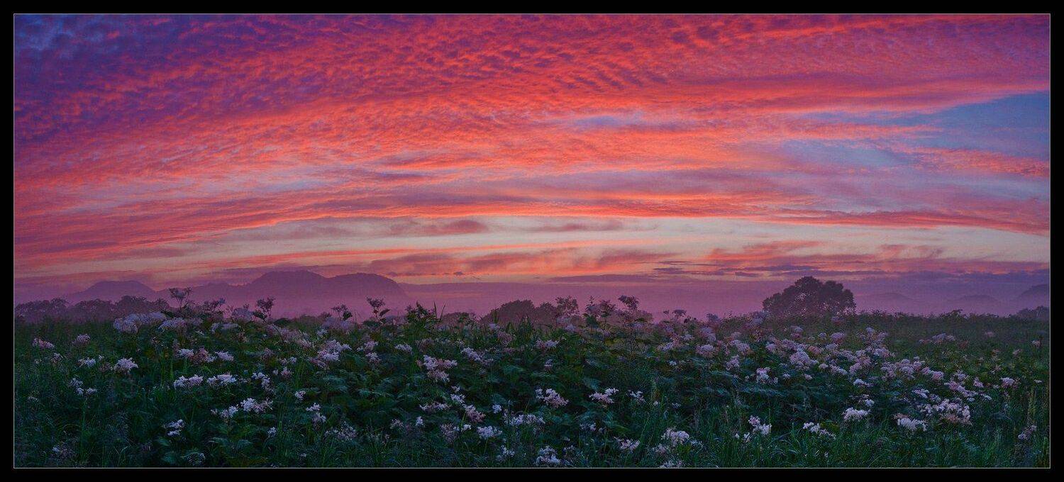кунашир, Андрей Уляшев (Mercand)