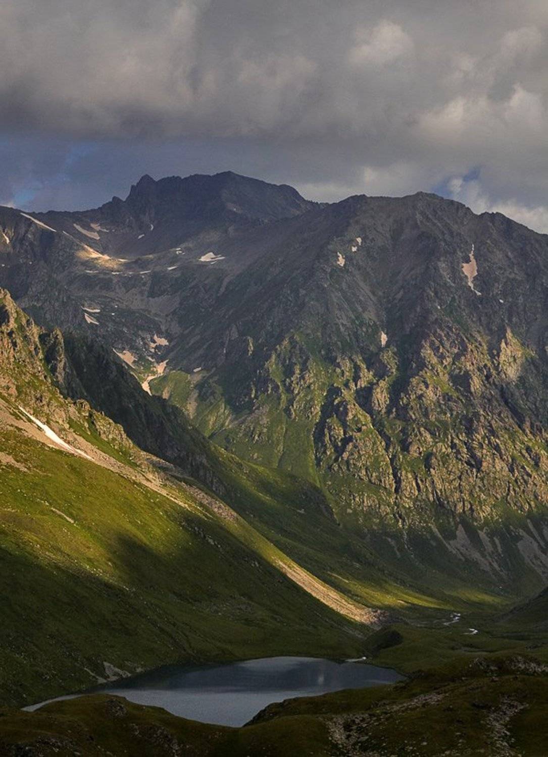 , Синицкий Виталий