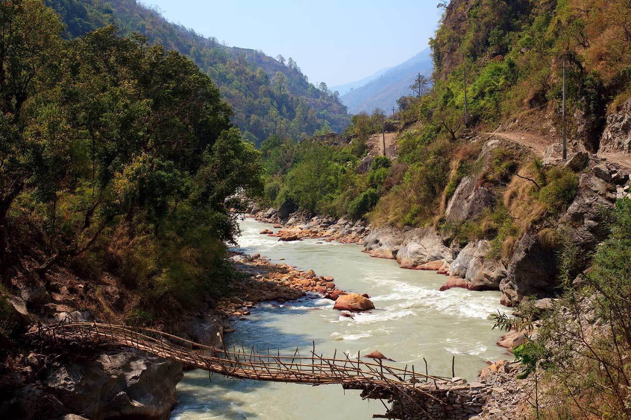 , Роман Николаев