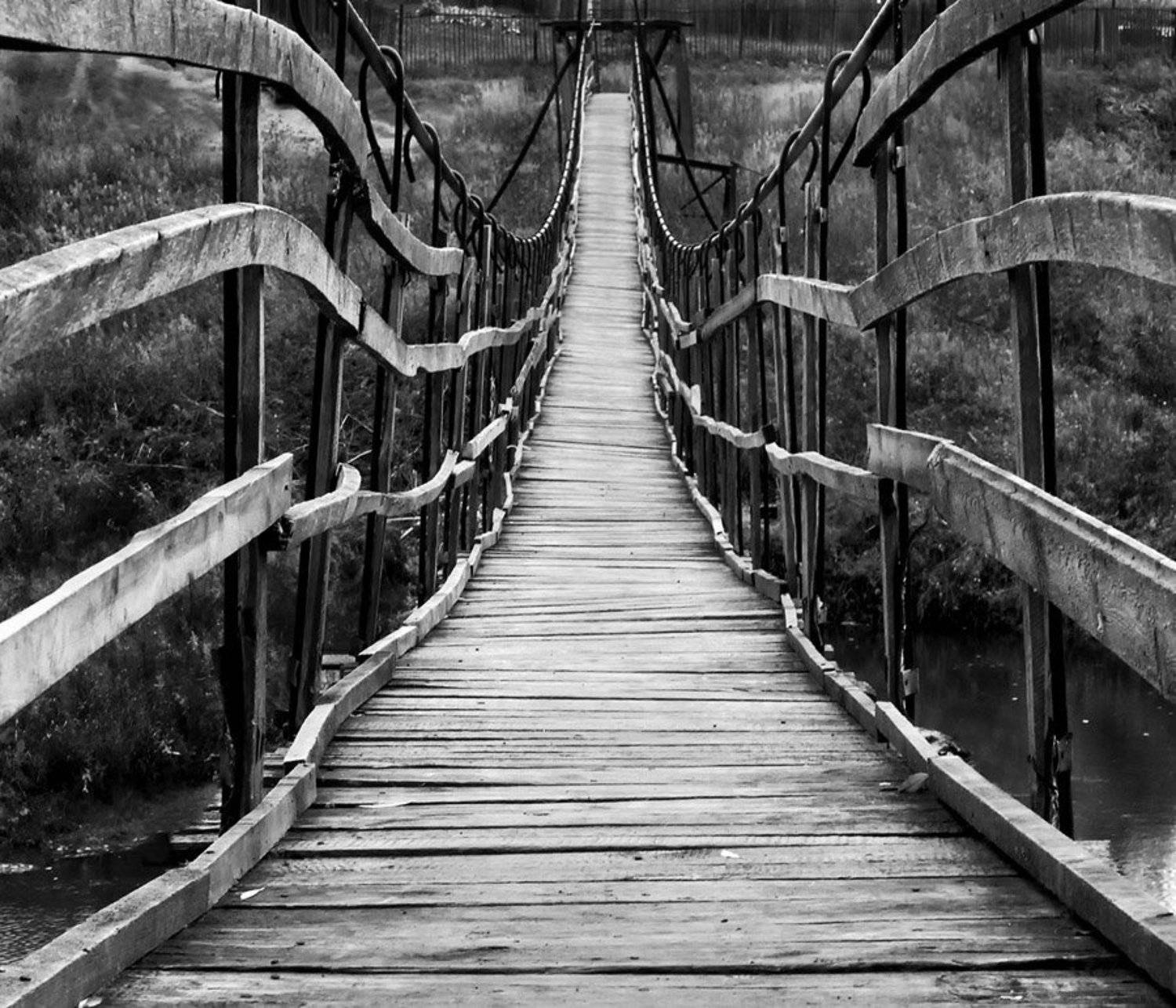 мост, Елена Топалова