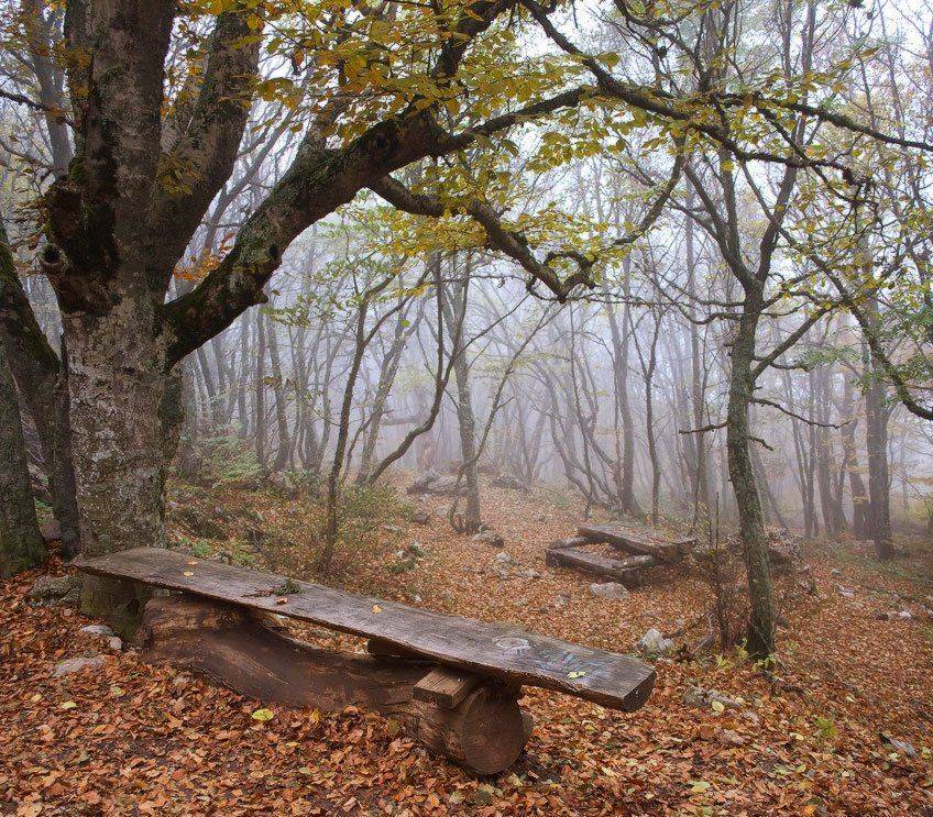 , Яна  Гайворонская