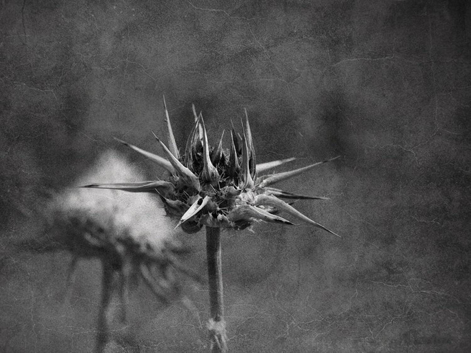 , Наталья Кузнецова (Nateletro)