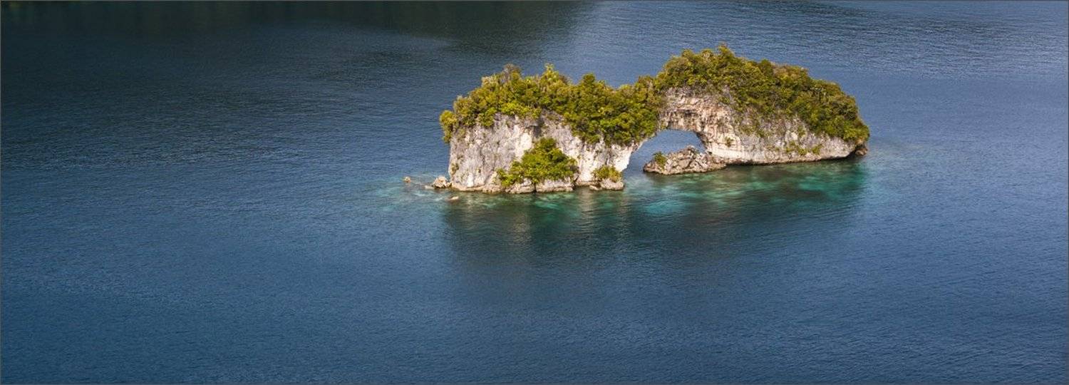 микронезия, Нетушки