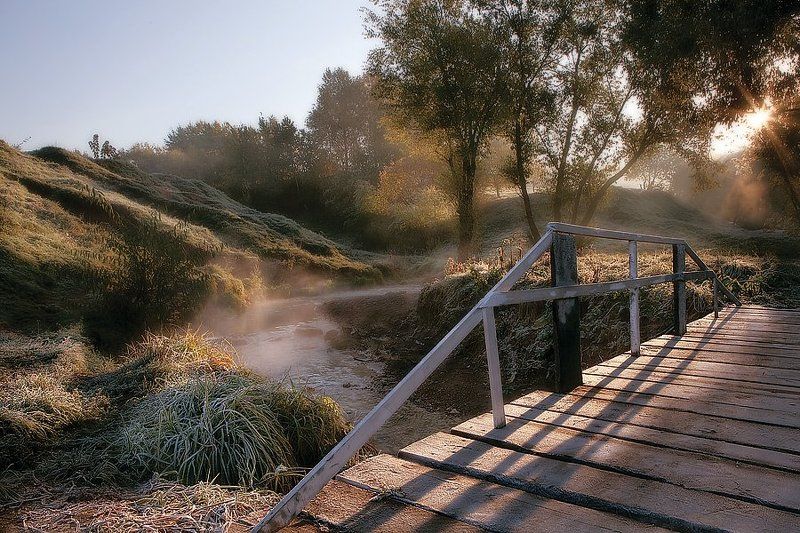 Октябрь уж наступил - уж роща отряхает (ч.2) фото превью