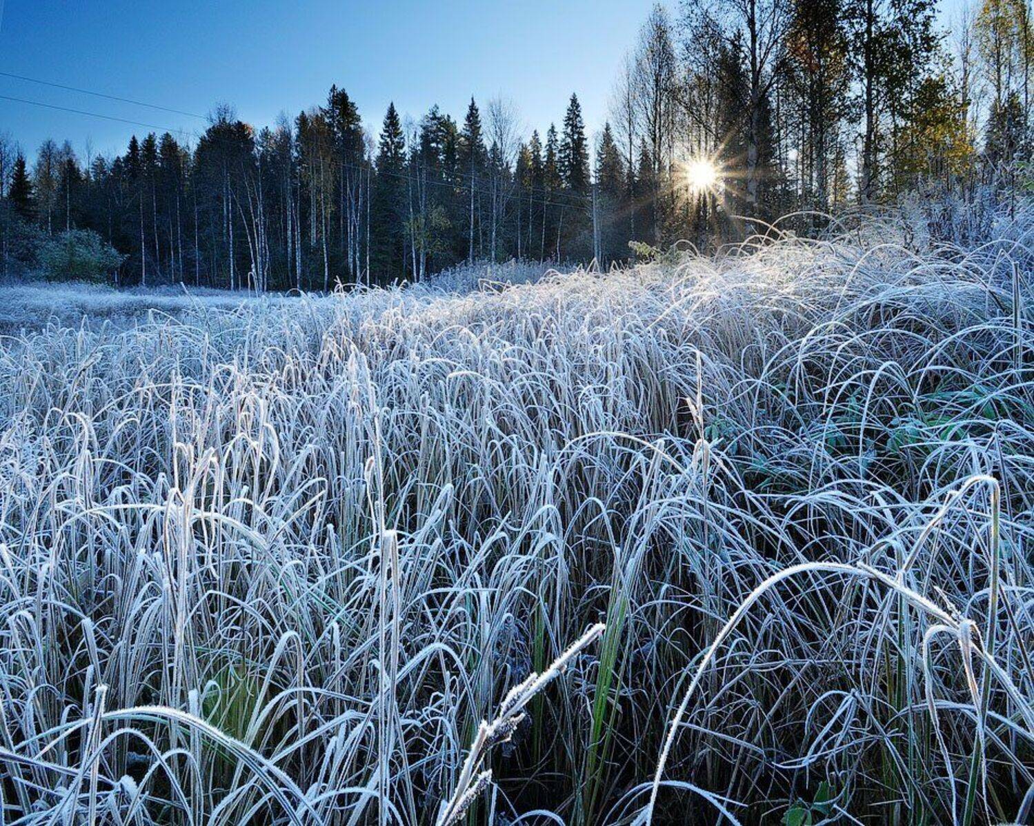 осень,октябрь,кема,, Roman Goryachiy