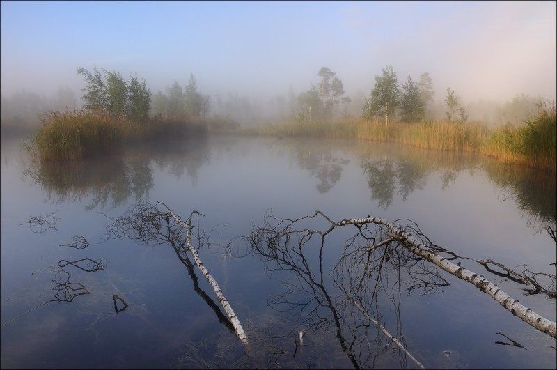 Болотные рефлексии фото превью
