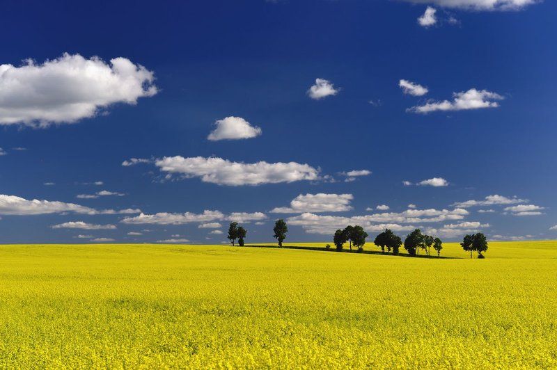 Intruders фото превью