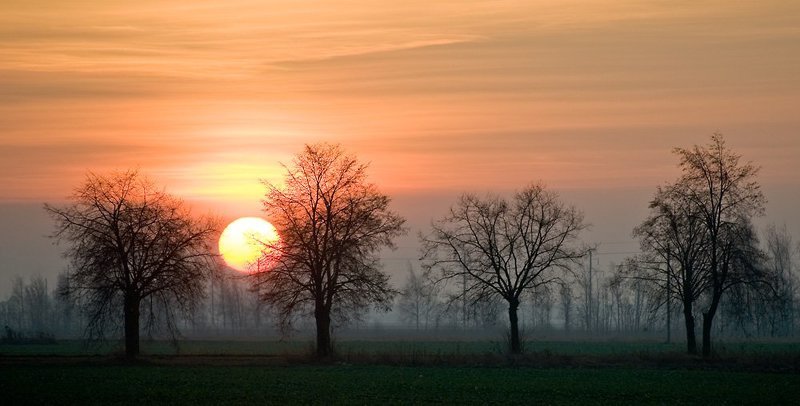 Sun guards фото превью