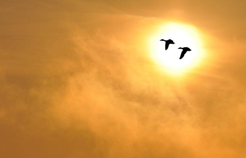 утро *** фото превью