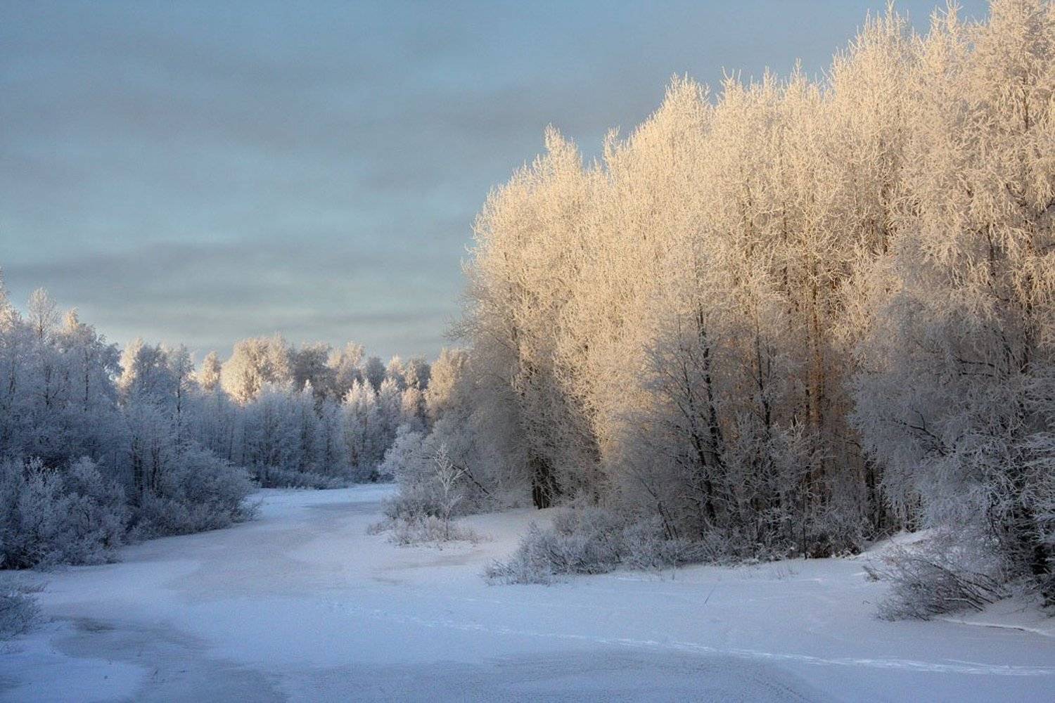 , Александр Коротков