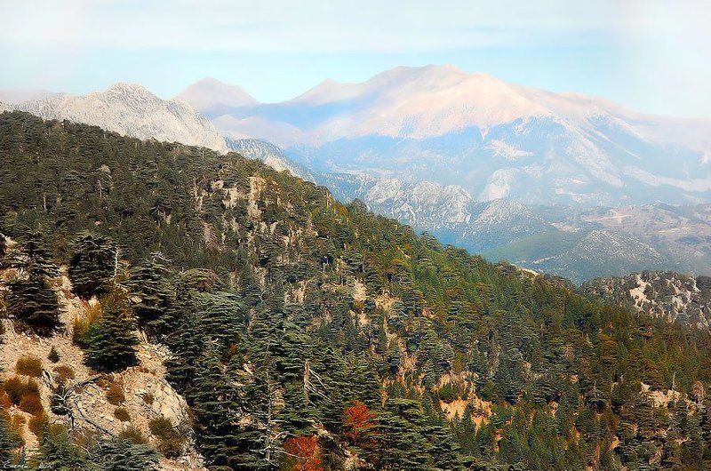 горы, природа, тахталы, пейзаж, путешествие *** фото превью