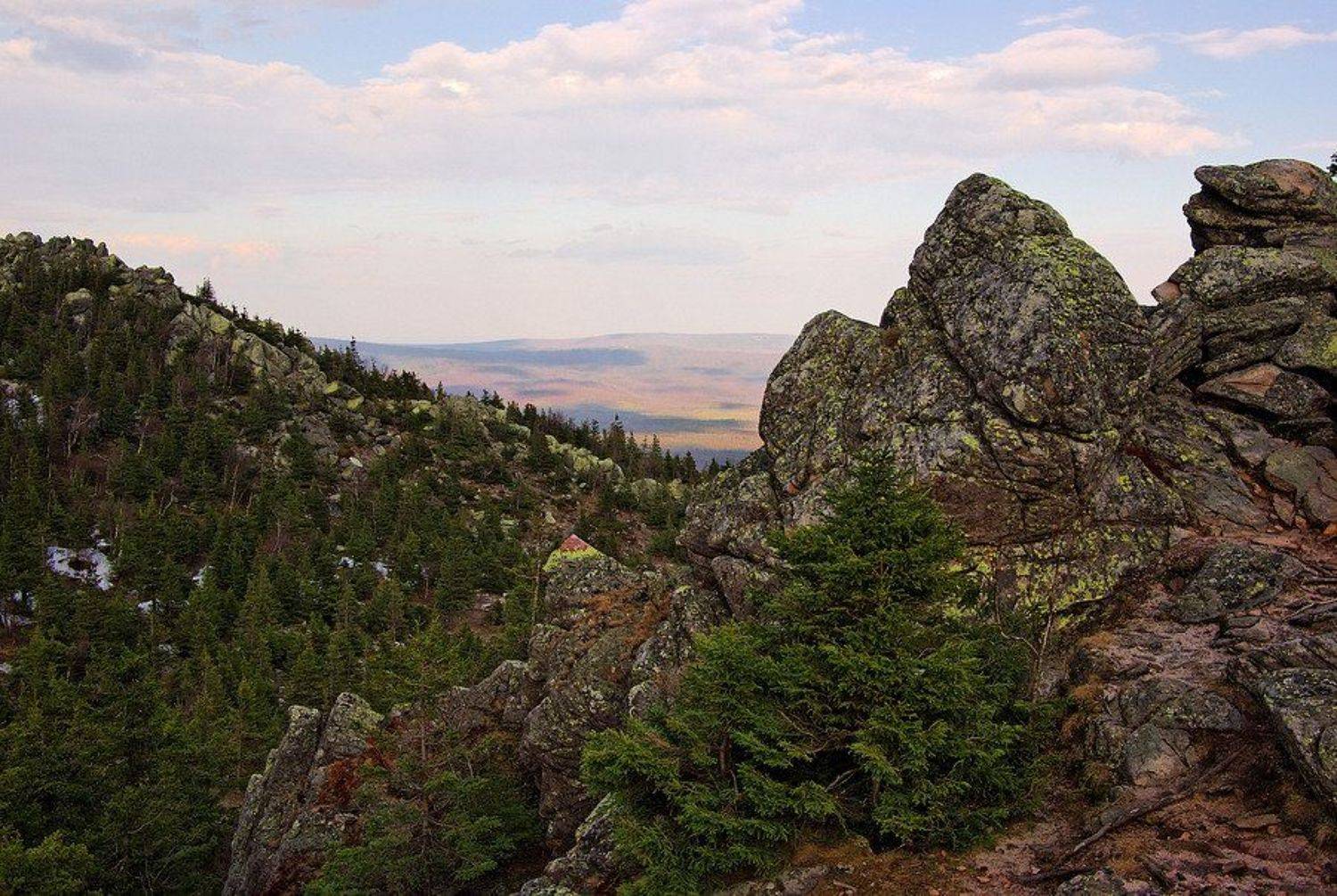 , Andrew (a-never) Nitsenko