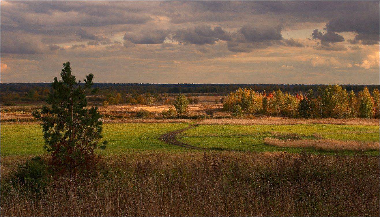 , Вадим Никифоров