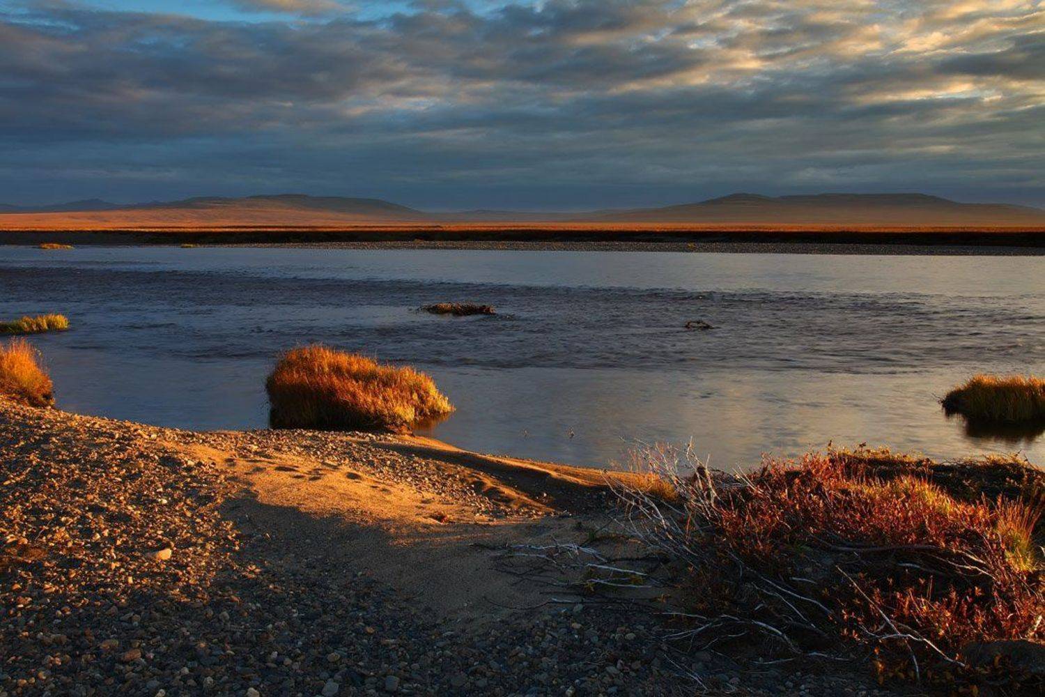 осень, река, чукотка, россия. пейзаж, природа, берег, вода, растения, свет, сопки, красота,, Сергей Шульга