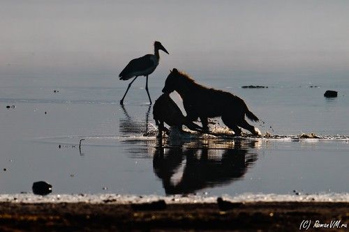 Подальше положишь, поближе возьмешь.