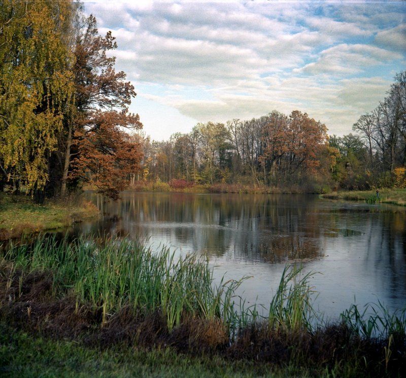 Осенняя заводь фото превью