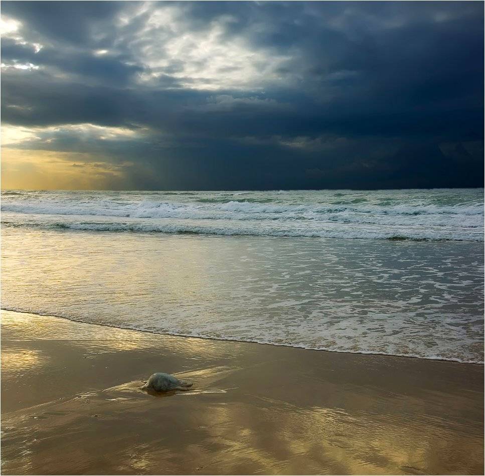 , Александр Беляев