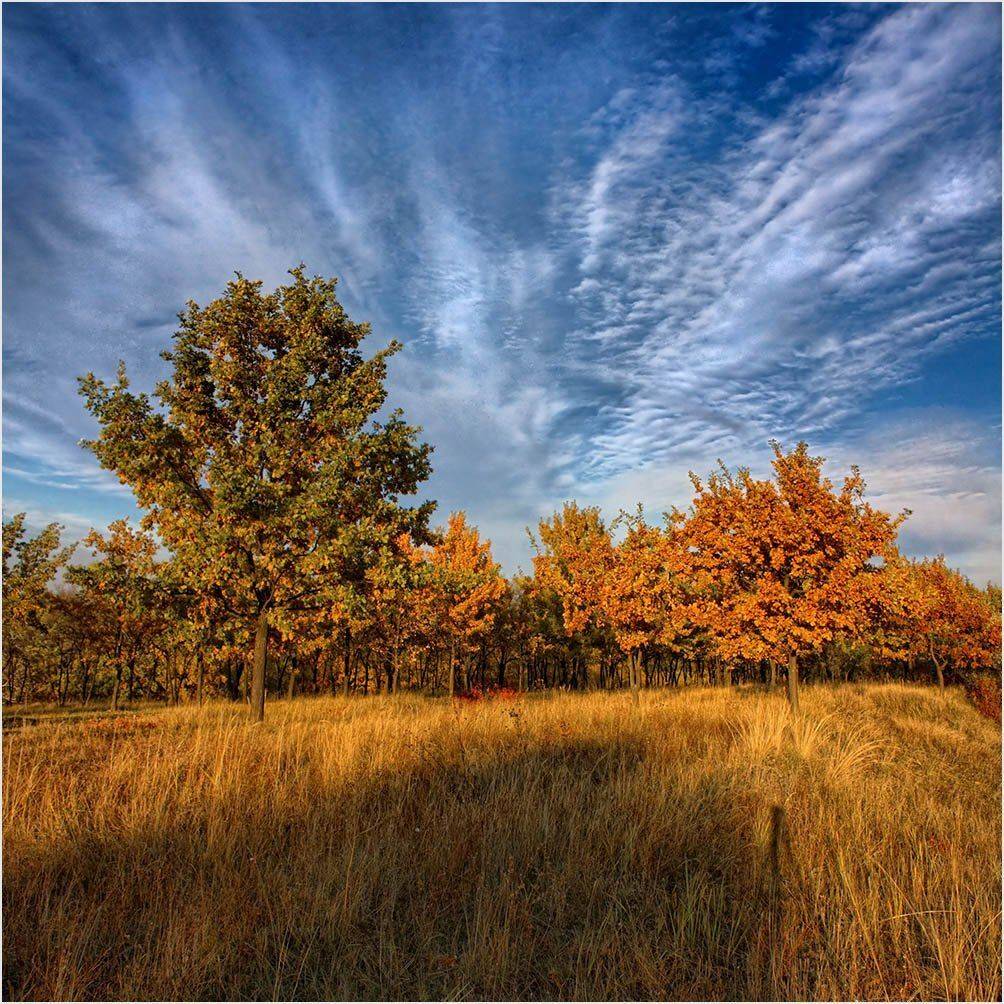 , Александр