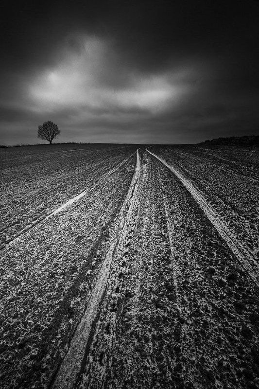 The day that never comes... фото превью