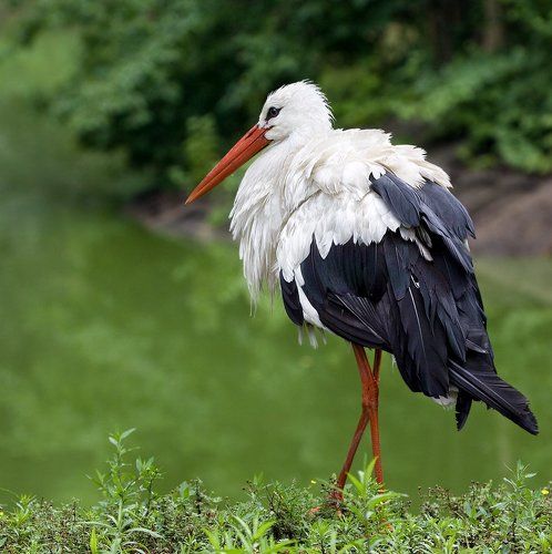 после дождя